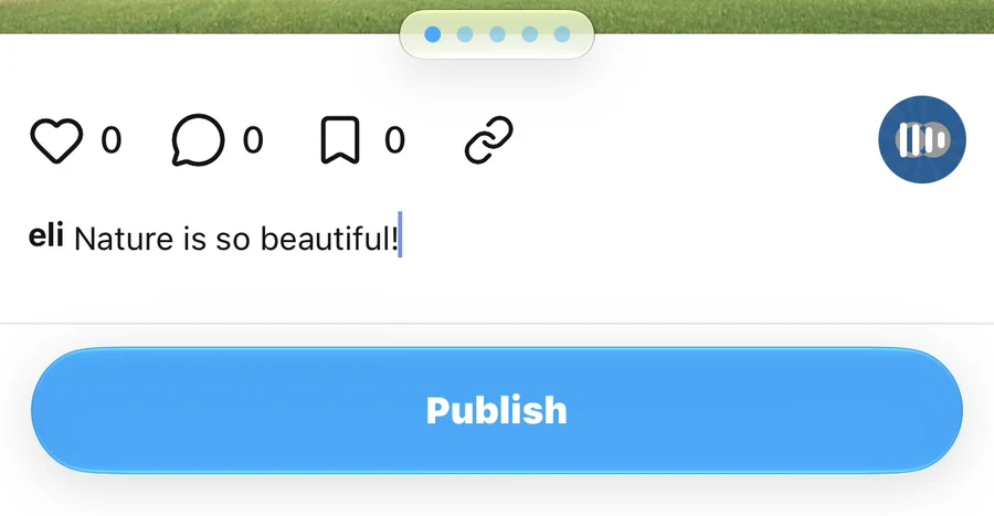 Completed caption reading Nature is so beautiful! above the blue Publish button.
