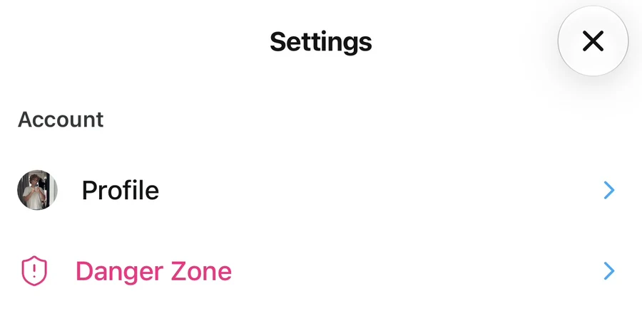 Settings menu showing Danger Zone below Profile in the Account section.