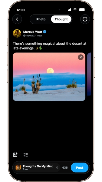 Creating a thought post on Ripledd